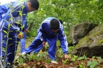 植物採取