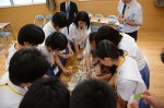 平成27年度体験入学＜甘木中学校＞【50】