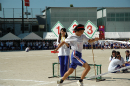 部活動対抗リレー（本選）：中学1,2,3男女選 / 高校1,2,3男女選